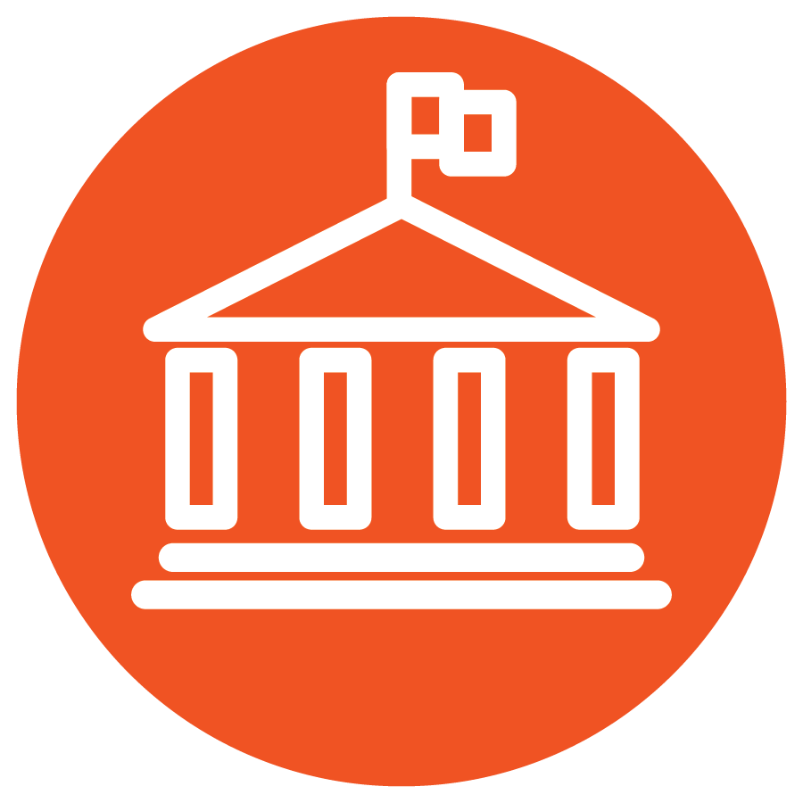 Local Government icon